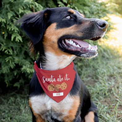 Santa Ate It Pet Bandana