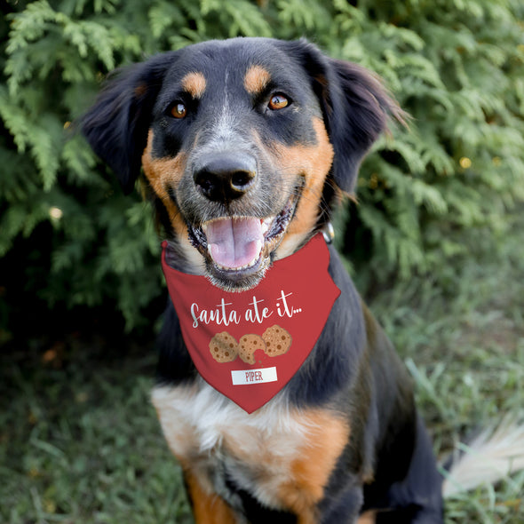 Santa Ate It Pet Bandana