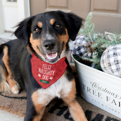 Feliz Naughty Dog Pet Bandana