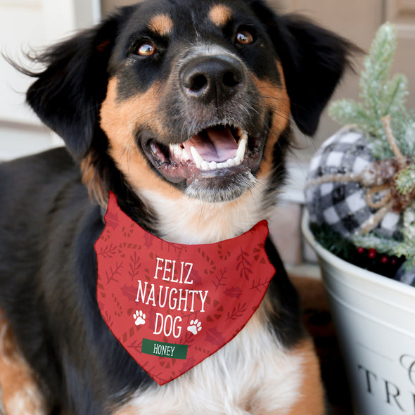 Feliz Naughty Dog Pet Bandana