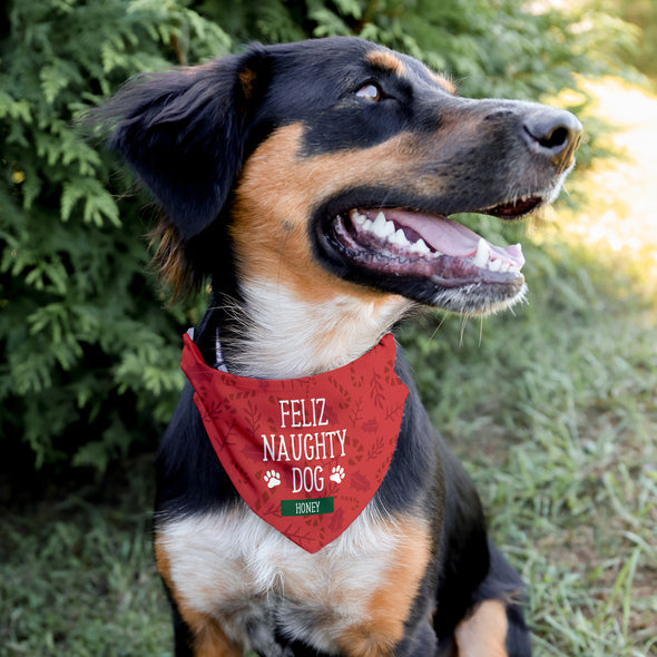 Feliz Naughty Dog Pet Bandana