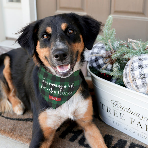 Making a List Pet Bandana