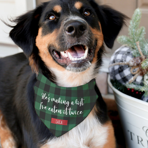 Making a List Pet Bandana