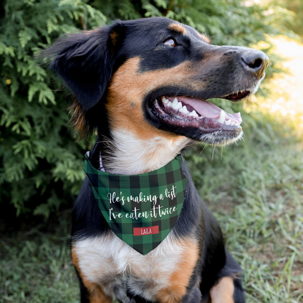 Making a List Pet Bandana