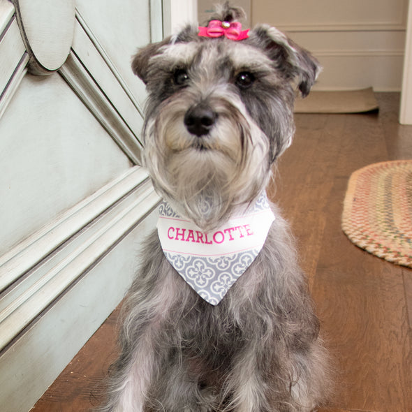 Grey Florence Pet Bandana