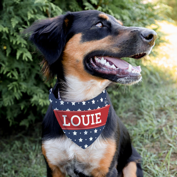 USA Pet Bandana