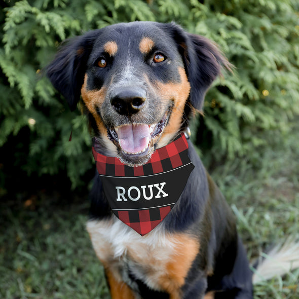 Red & Black Checkered Pet Bandana