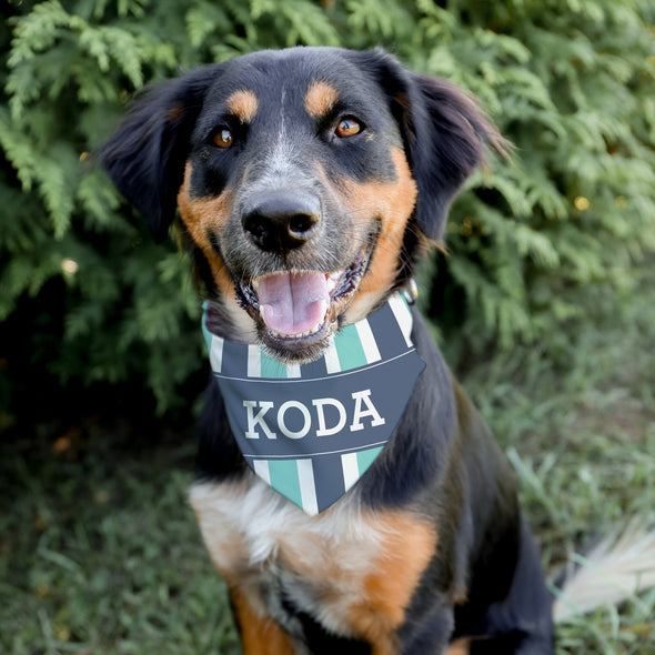 Teal Stripes Pet Bandana