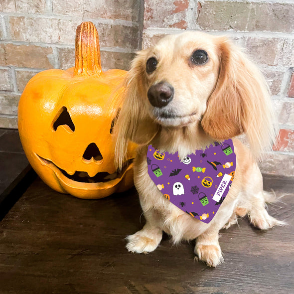 Purple Pet Bandana