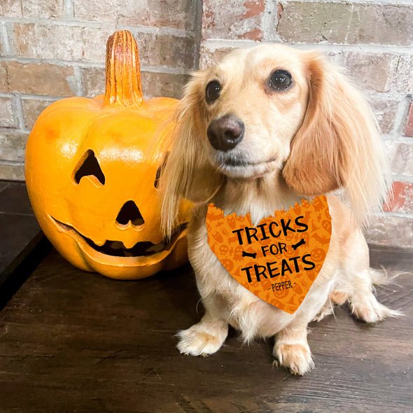 Tricks for Treats Pet Bandana